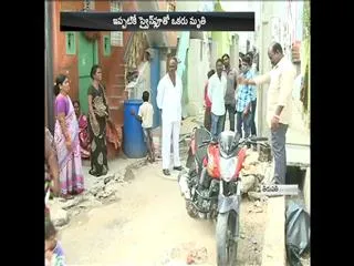 Again swine flu Insisted in chittoor district - Sakshi