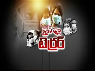 swine flu terror in two telugu states - Sakshi