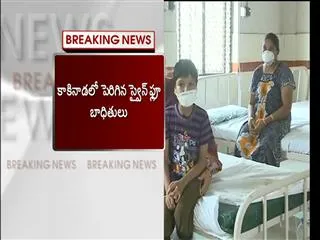 swine flu in telangana - Sakshi