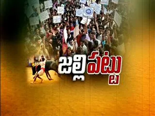 We want jallikattu, cry protestors at Chennai's Marina Beach - Sakshi