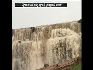 Full of water flow to All projects by heavy rains - Sakshi