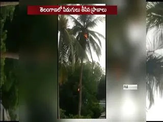 Thunderstorms kill 5,  heavy rain in Telangana - Sakshi