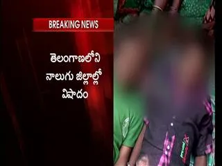 9 drown in telangana four districts - Sakshi