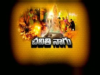 Nagula Chavithi celebrations in Temples - Sakshi