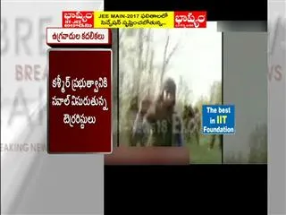Movements of militants in the borders of the country - Sakshi