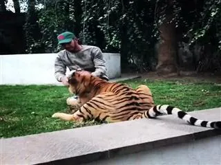 This Formula 1 World Champion Got Attacked By A Tiger - Sakshi