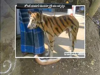 Hotel owner different idea - Sakshi