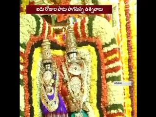 FIVE DAY SRI VARI ANNUAL FLOAT FESTIVAL BEGINS - Sakshi