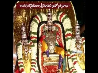 lord venkateswara on peddasesha vahanam - Sakshi