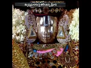 lord venkateswara swamy on kalpavruksha vahanam - Sakshi