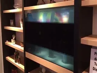 panasonic company will release transparent TV - Sakshi