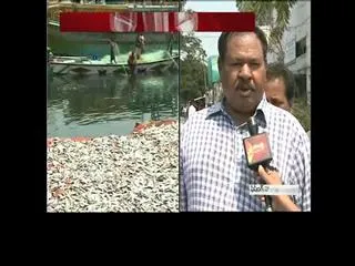 fisherman gets break for fishing - Sakshi