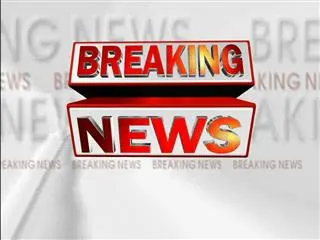 vijay mallya arrested by scotland yard police in london - Sakshi