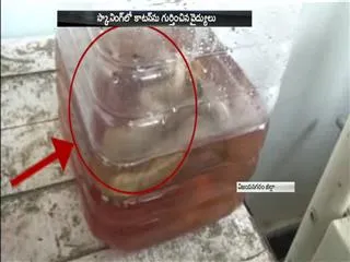 Doctors negligence in vizianagaram cotton put in women stomach and forgotten - Sakshi