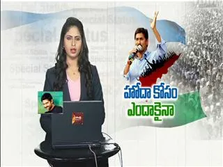 YSR congress party leaders in making the arrangements for Jai Andhra pradesh public meeing - Sakshi