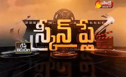 Screen Play 25th Jan 2018 - Sakshi