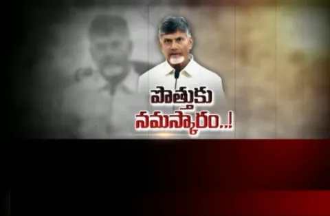 CM Chandrababu Naidu Sensational Comments on BJP Alliance - Sakshi