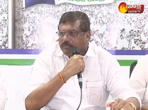 ysrcp leader botsa satyanarayana speaks about land scams - Sakshi