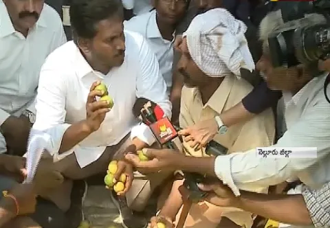ys jagan meet lemon farmers in nellore praja sankalpa yatra - Sakshi