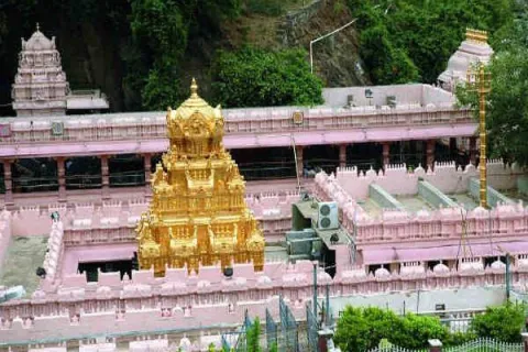 TDP Govt Divert Tantrik pooja issue in Durgamma Temple - Sakshi