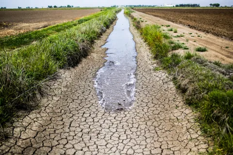 Irrigation water problem for farmers - Sakshi