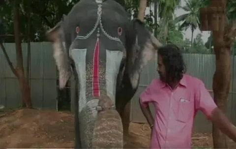 Elephant plays mouth organ in TamilNadus Thekkampatti - Sakshi