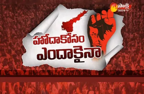 ap special status discussion - Sakshi