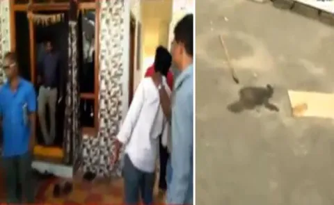  two arrested in  child sacrifice in hyderabad - Sakshi