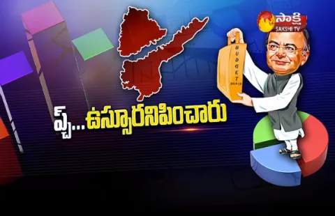 The Magazine Story on 1st February 2018 - Sakshi