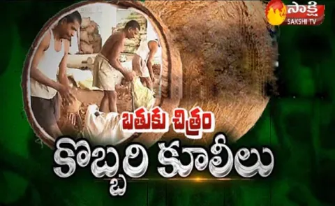 batuku chitram 3rd feb 2018 - Sakshi