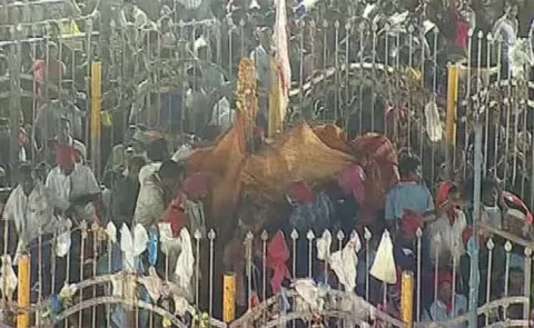 Heavy rush of devotees in Medaram Jatara - Sakshi