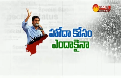 YSRCP Protest For AP Special Status in Anantapur - Sakshi