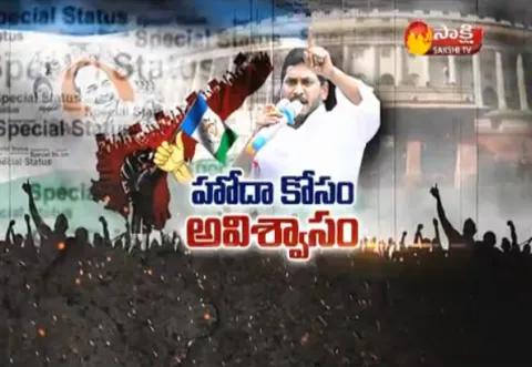 Sakshi Special Discussion about ap special status - Sakshi