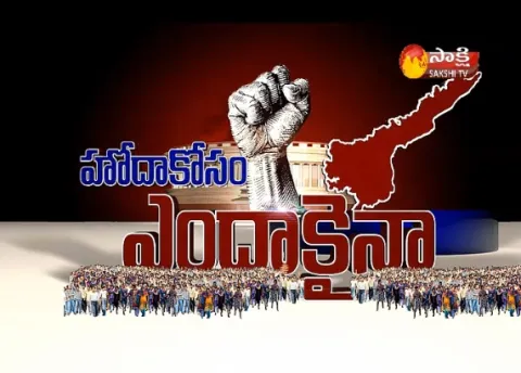 Vijayanagaram People Support for YSRCP - Sakshi