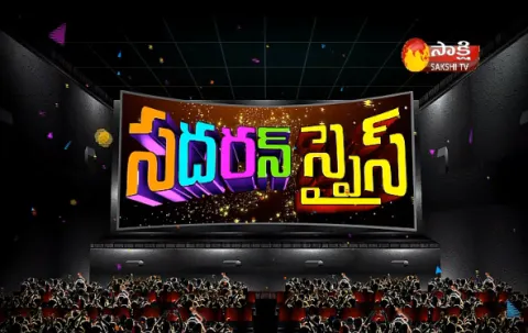 Southern spice  - Sakshi