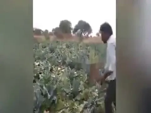  - Sakshi