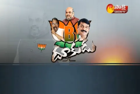 BJP MLA Vishnu Kumar Angry on TDP Govt - Sakshi
