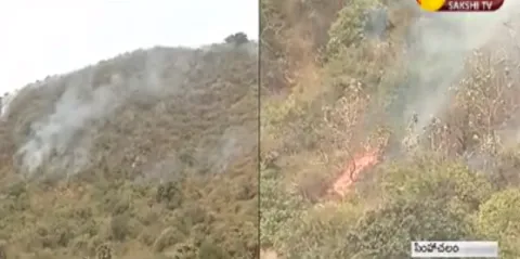 Forest fire on Simhachalam Hill - Sakshi