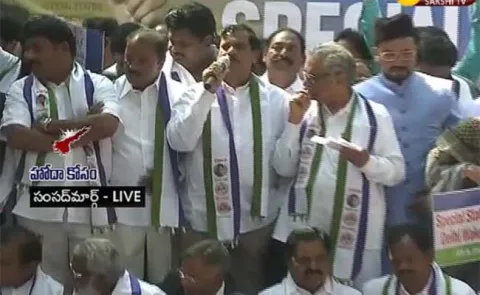 MLA Aijayya Fire on Chandrababu Naidu Over Special Status for AP - Sakshi