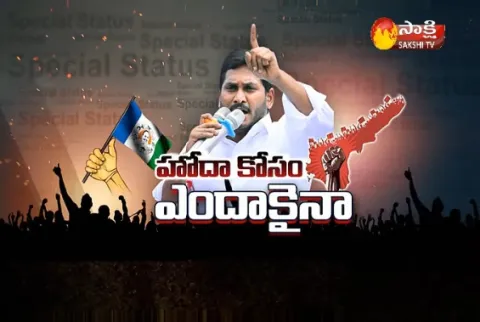 People Support YSRCP Maha Dharna in Delhi - Sakshi