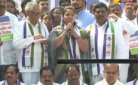 mla pushpa vani fire on chandrababu naidu over special status for ap - Sakshi