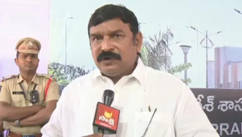BJP MLA Vishnu Kumar Raju Lashes Out At TDP Leaders - Sakshi