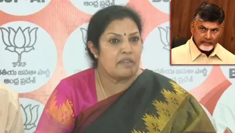 BJP Leader PurandeswariSlams Chandrababu Over Status Issue - Sakshi