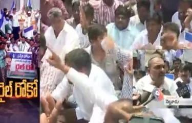 YSRCP Leaders Conduct Rail Roko in Nellore - Sakshi