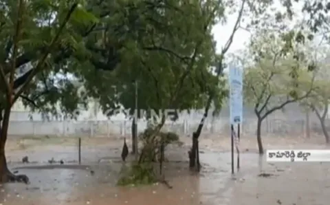 Damage With Rain In Kamareddy District - Sakshi