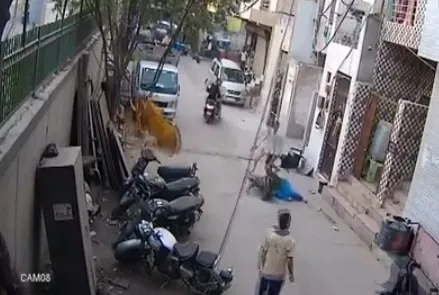 Pit Bull Dog Attack On Boy In Delhi - Sakshi