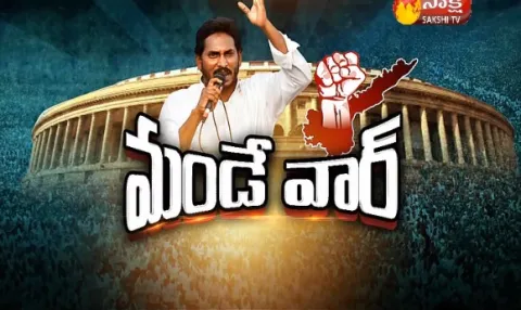 YSRCP MPs to go on Hunger Strike, Resign On Last Day of Parliament Session - Sakshi