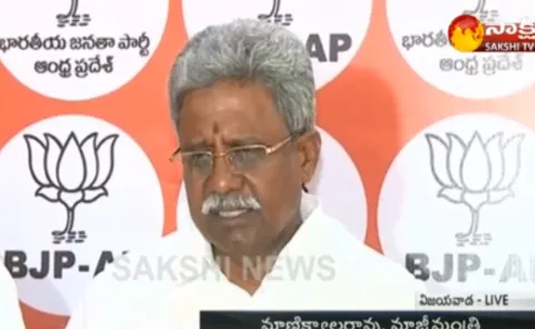 BJP Leaders Fire On Balakrishna Comments Against PM Modi - Sakshi