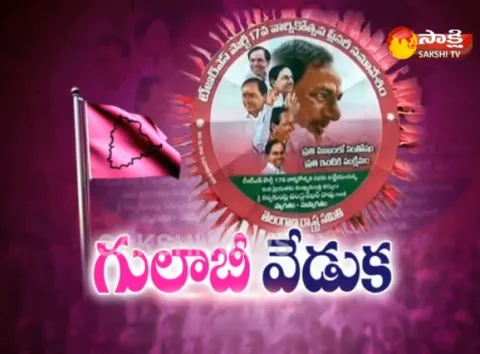 CM KCR Comments on Federal Front in TRS Plenary - Sakshi