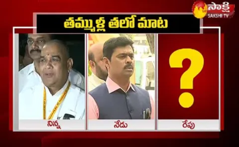 TDP Leaders Diferente Statements On Chandrababu Naidu Delhi Tour - Sakshi